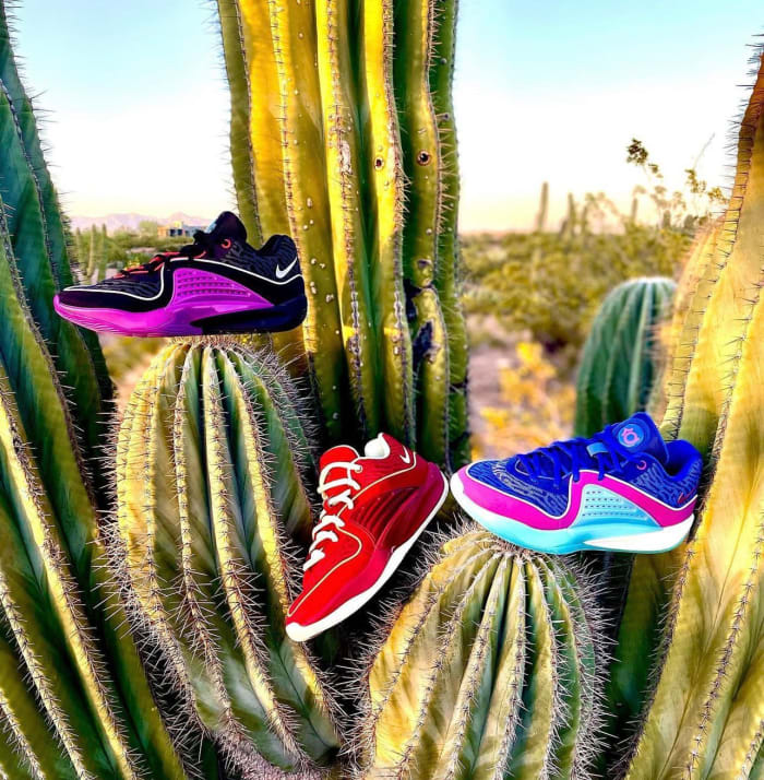 Three colorways of the Nike KD 16 on a cactus.